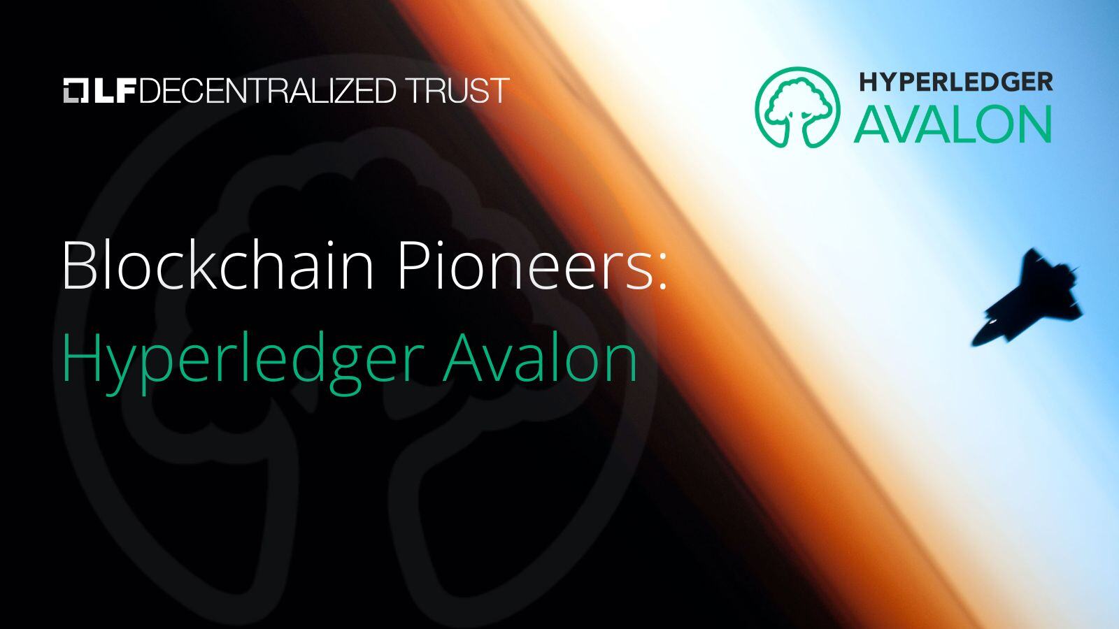 Blockchain Pioneers: Hyperledger Avalon