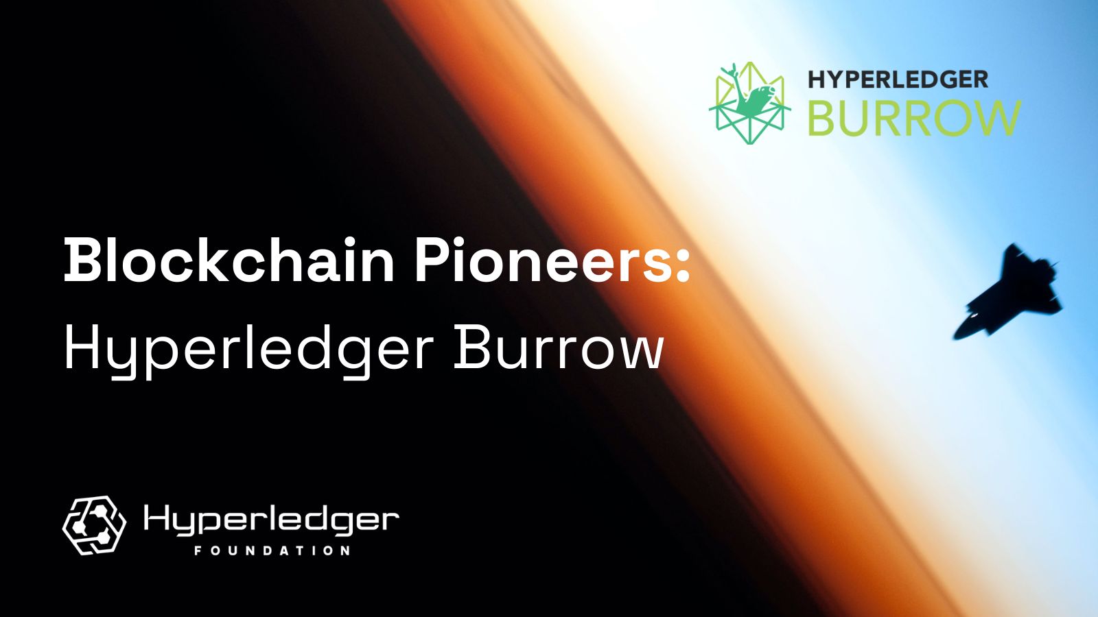 Blockchain Pioneers: Hyperledger Burrow