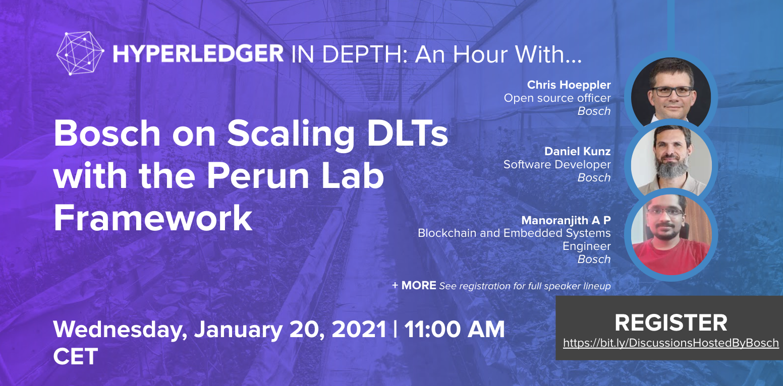 Hyperledger In-depth: An hour with Bosch on Scaling DLTs with the Perun Lab Framework